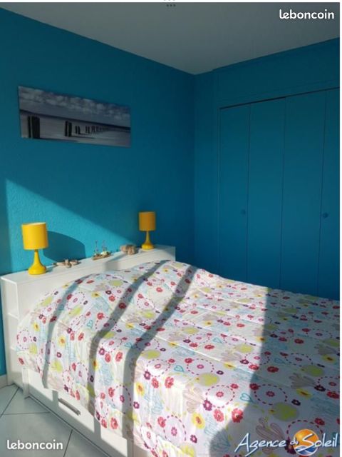 Canet plage, bel appartement taversant,front de mer (image 12)