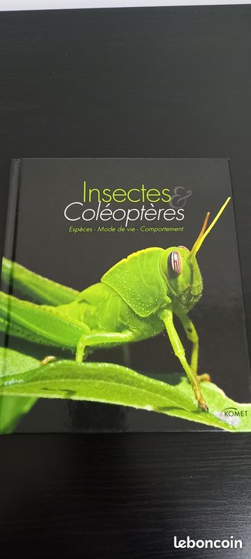 Insectes et coléoptères (image 1)