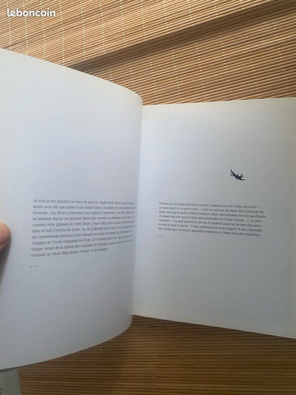 School spirit -pierre huyghe, douglas coupland , rencontre (image 12)