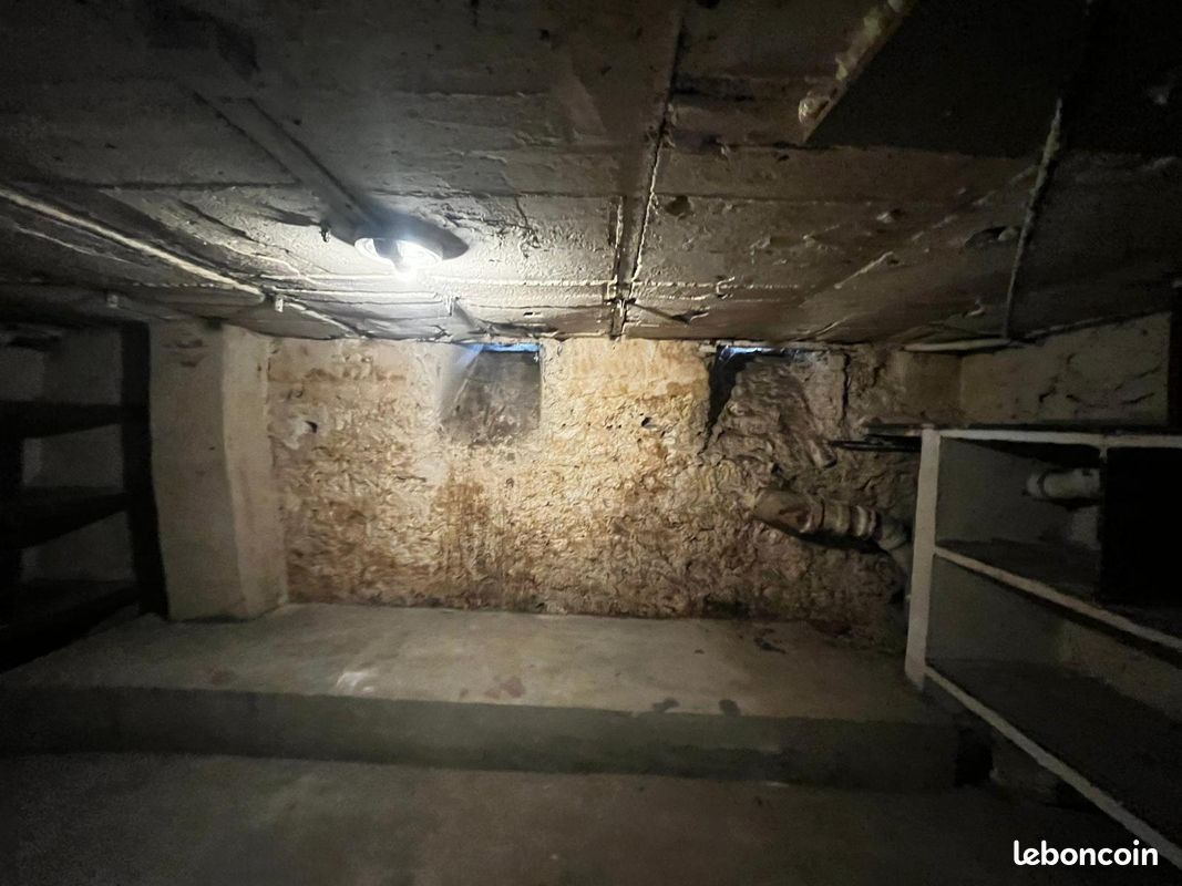 Rare très grande cave proche boulogne billancourt (image 1)