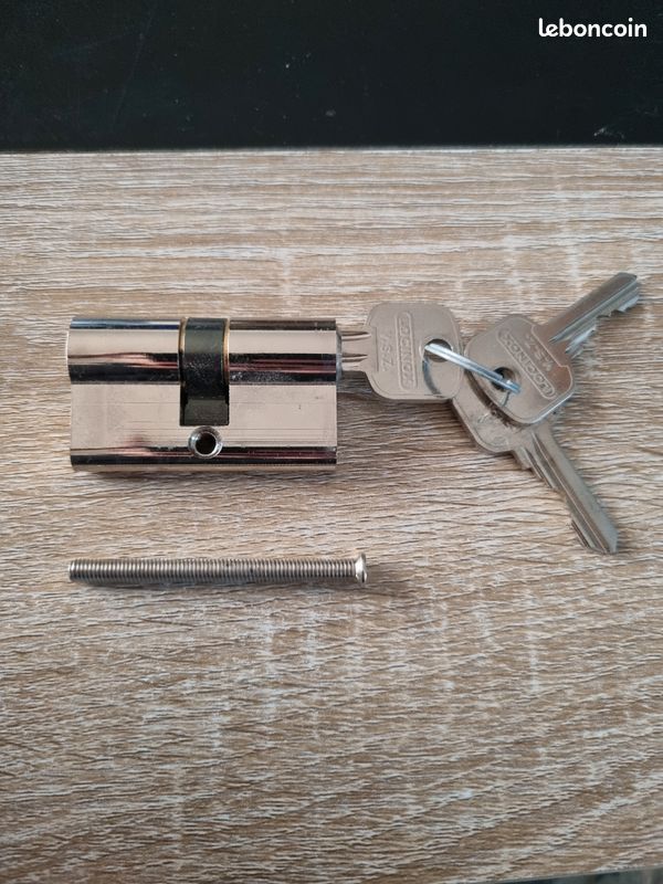 Cylindre Serrure De Porte Fichet – Pour Pièces – Défectueux