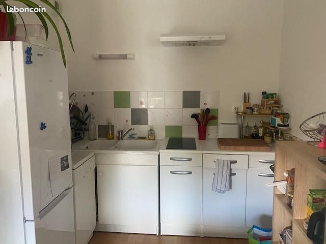 Appartement 2 pièces 45 m² - Chasseneuil-du-Poitou 86360 (image principale 4)
