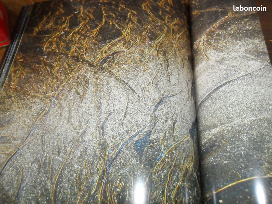 Fleury photographies/Jacama Peintures (image 4)