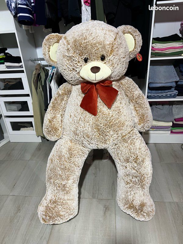 Ours en peluche (image 1)