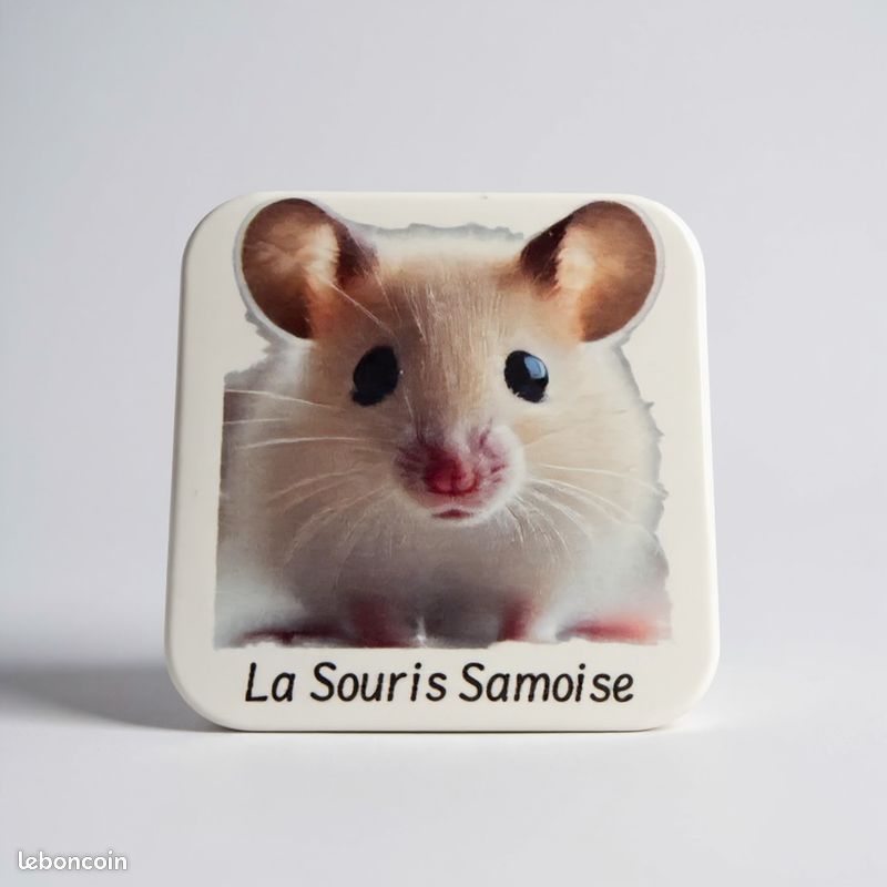 Magnet de la souris Samoise avec un QR code au dos qui vous dirige sur la fiche de la race de la souris (image 1)