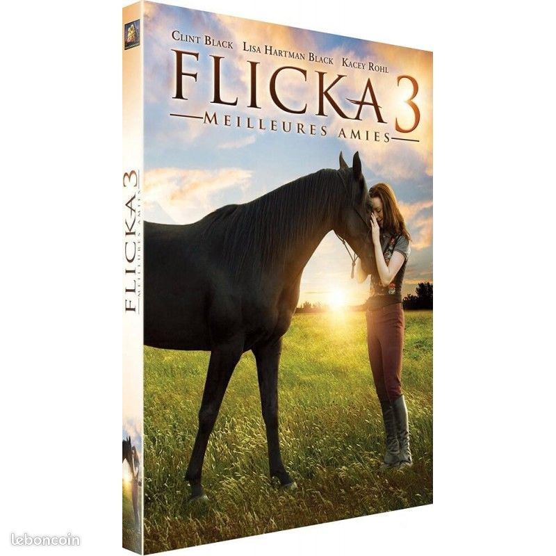 Flicka 3 en dvd (image 1)