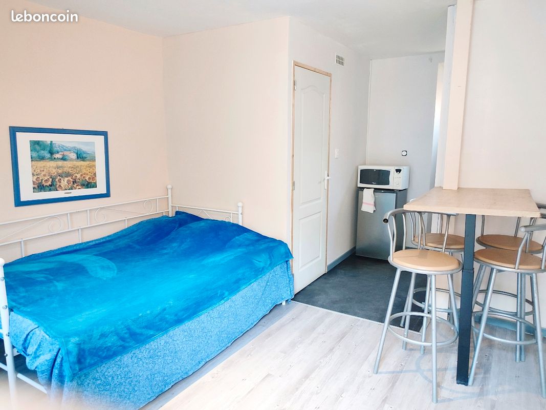 Appartement 1 pièce 20 m² · au Blanc · 20 m² · 450 €/mois