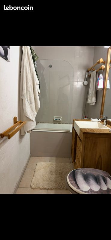 Appartement 4 Personnes au pied des pistes (image 5)