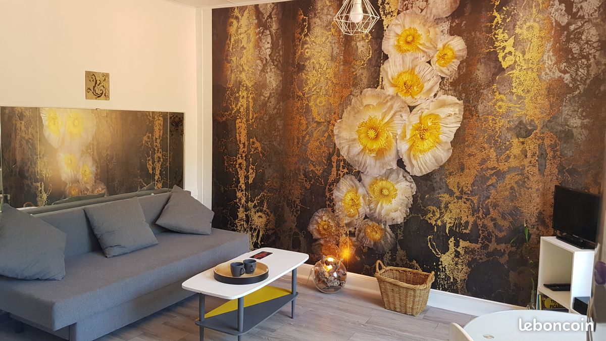 Appartement 1 pièce 19 m² · à Amélie-les-Bains-Palalda · 19 m² · 30 000 €