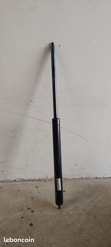 Vérin à gaz professionnel Berthold Marx 58 cm (Ref: ST 2500600VD14) (image 3)