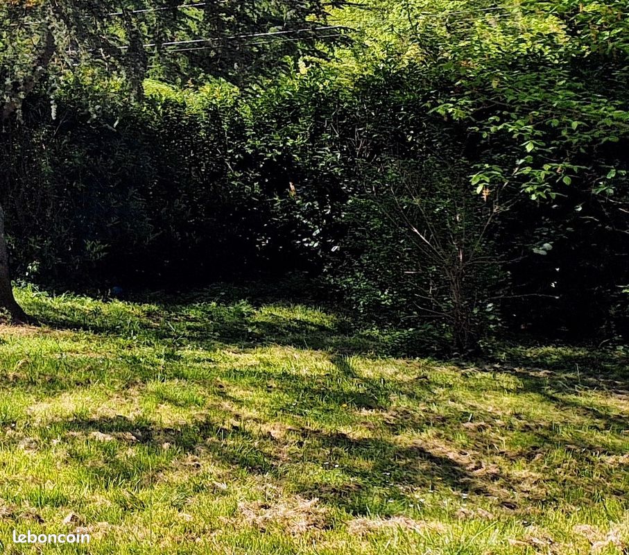 Terrain 2800 m² · à Saint-Martin-de-Laye · 2 800 m² · 150 000 €