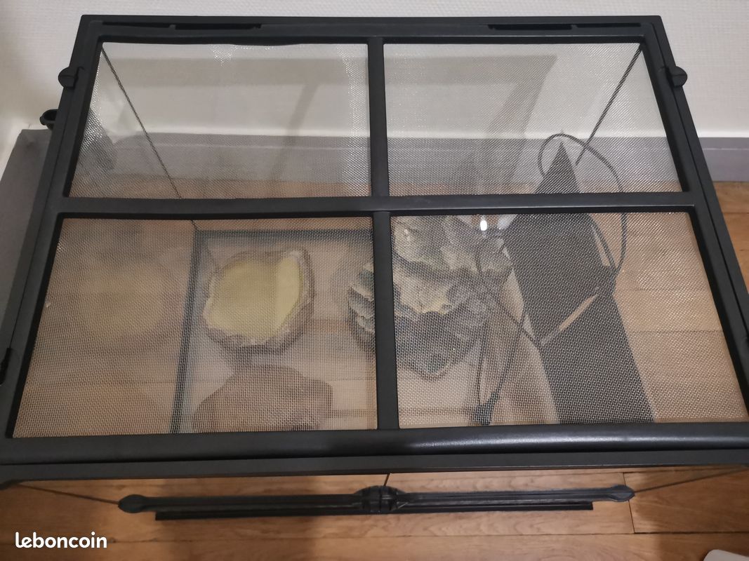 Terrarium (image 2)