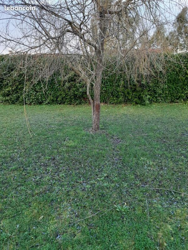 Maison 5 pièces 116 m² · à Villenave-d'Ornon · 116 m² · 1 130 €/mois