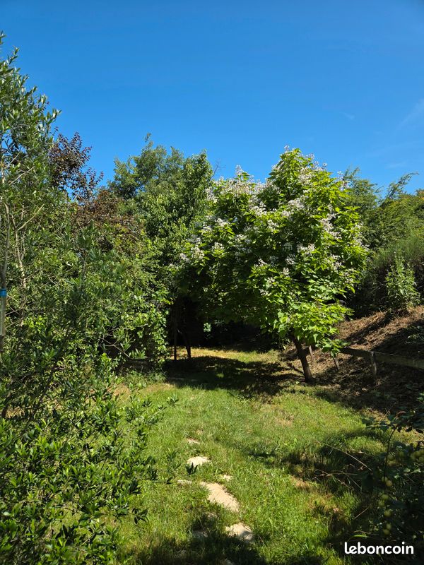 Location d'été en Haute Garonne (image 13)
