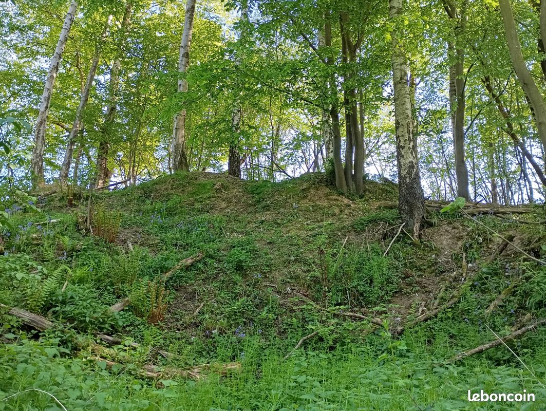 A vendre parcelle forestière · à Aizier · 22 000 €