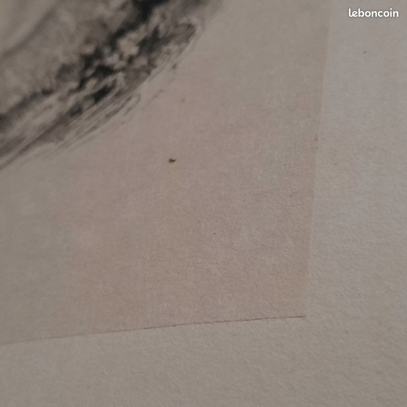 Illustré XIXe. Voyage sentimental de Sterne. Par J.Janin et Tony Johannot (image 10)