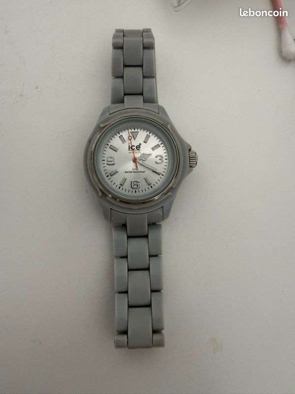 ICE watch (image 1)