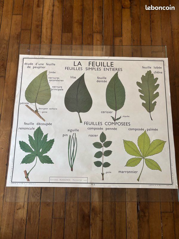 Affiche école ancienne (image 1)