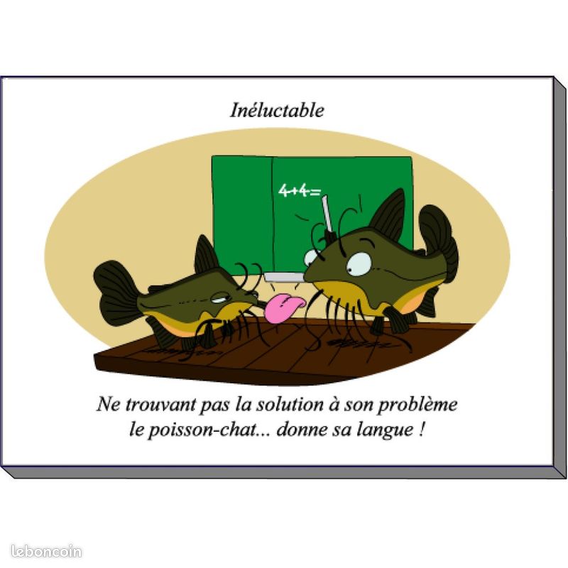 Pourvu qu'elle soit douce - Séries Ouïes-dire et récits et récits natatoires - Tome 2 (image 4)