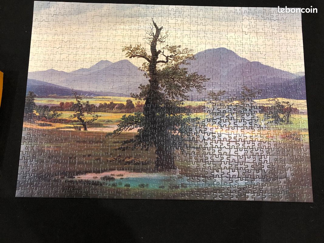 Puzzle de 1000 pièces (image 1)