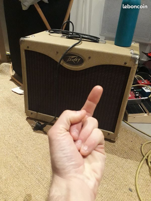 Vends peavey classic 30 (image 1)