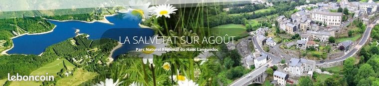 Propriété 20 pièces 650 m²