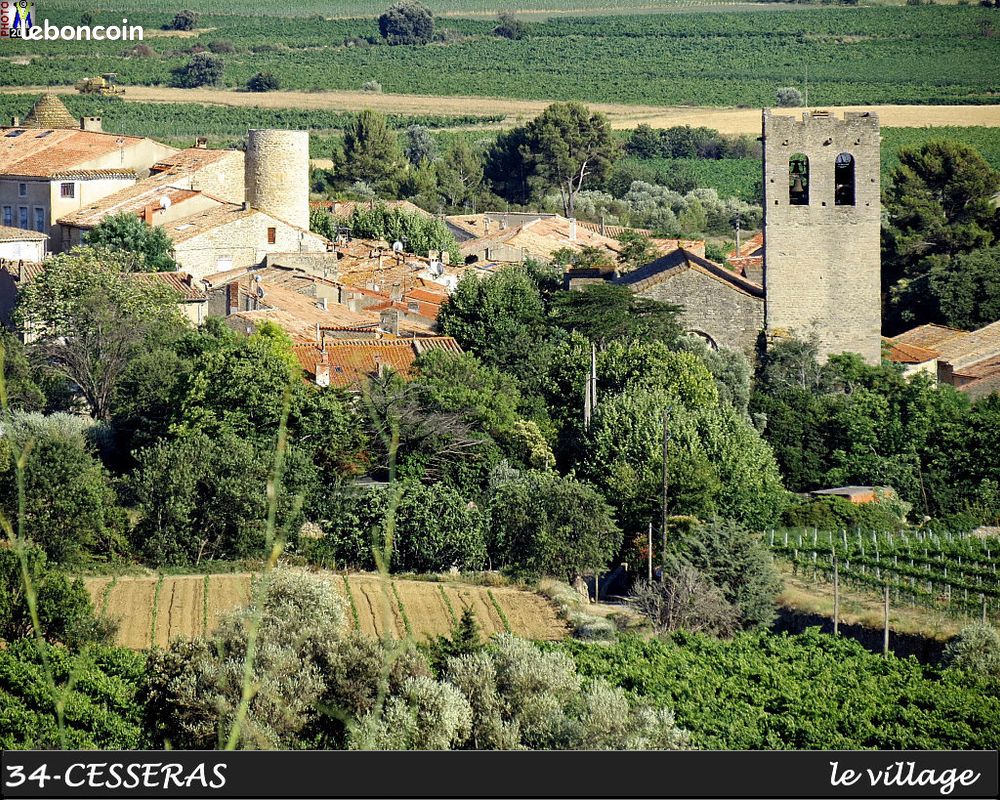 6000m² de Parcelles de terres agricoles à Cesseras · 12 000 €