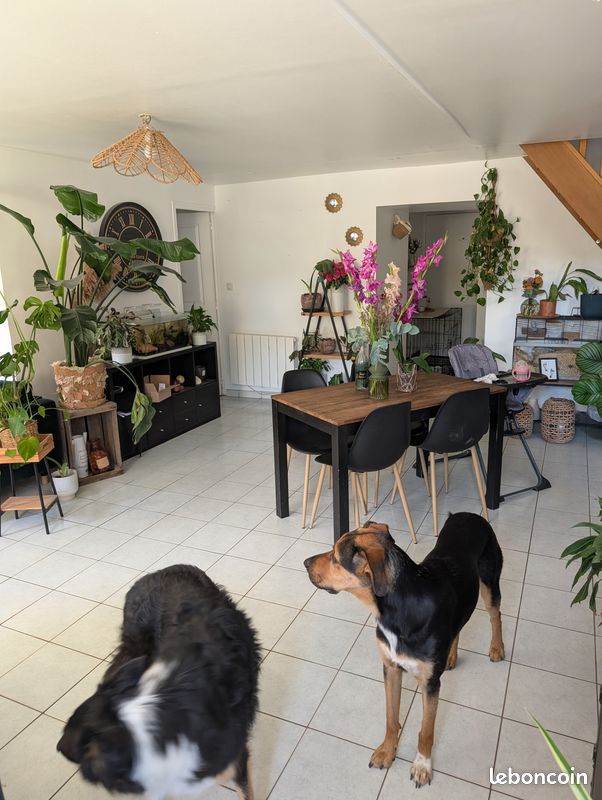 Maison 4 pièces 120 m² · à Bréal-sous-Montfort · 120 m² · 215 000 €