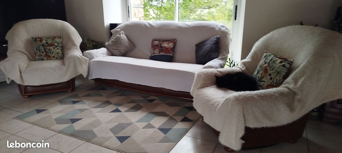 Canape + 2 fauteuils (image 4)