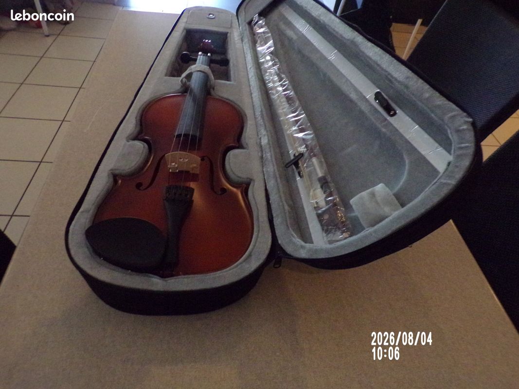 Violon entier (image 1)