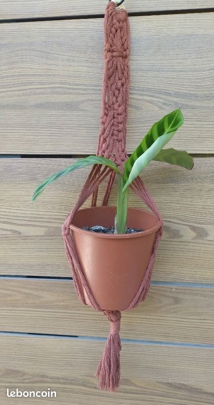 Suspension pour plante en macramé couleur brique (image 3)