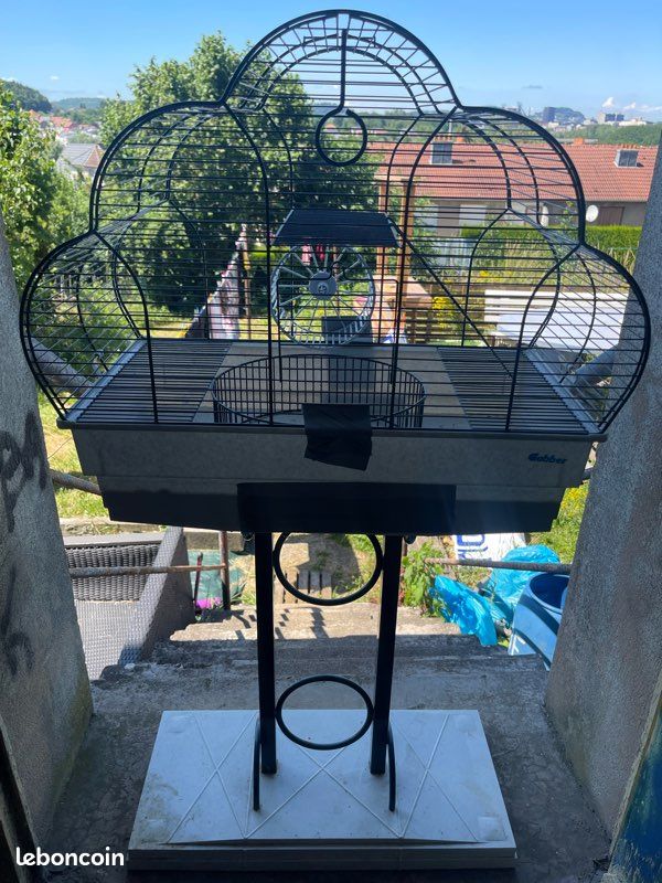 Cage hamster (image 2)