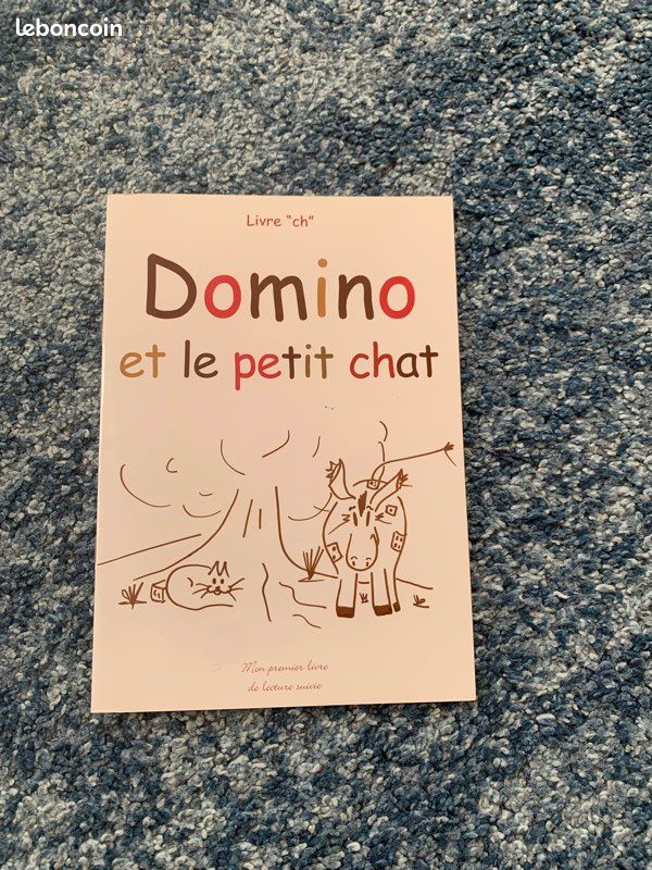 Lot de matériel Montessori Lecture (image 9)
