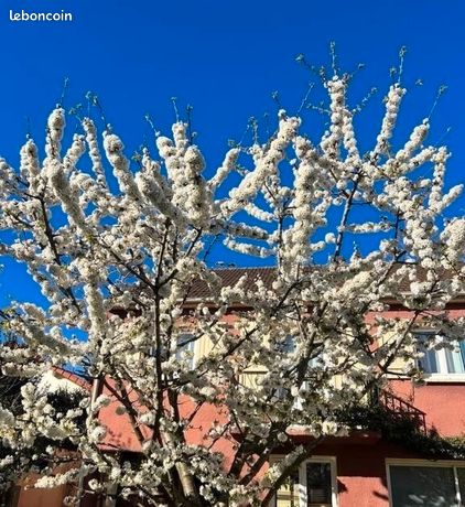 Maison a louer arcueil - 6 pièce(s) - 150 m2 - Surfyn