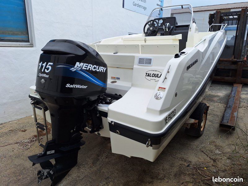 Moteur hors bord Mercury Optimax 115cv (image 2)