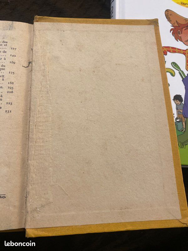 Livre Pasteur Abrégé de la vie de Pasteur de René Vallery - n49n (image 5)