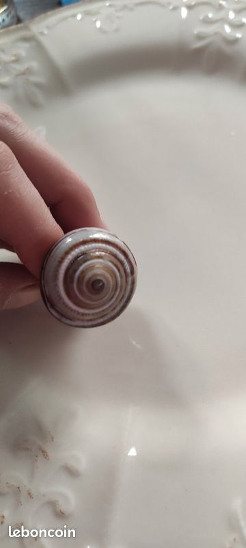Bague coquillage (image 5)