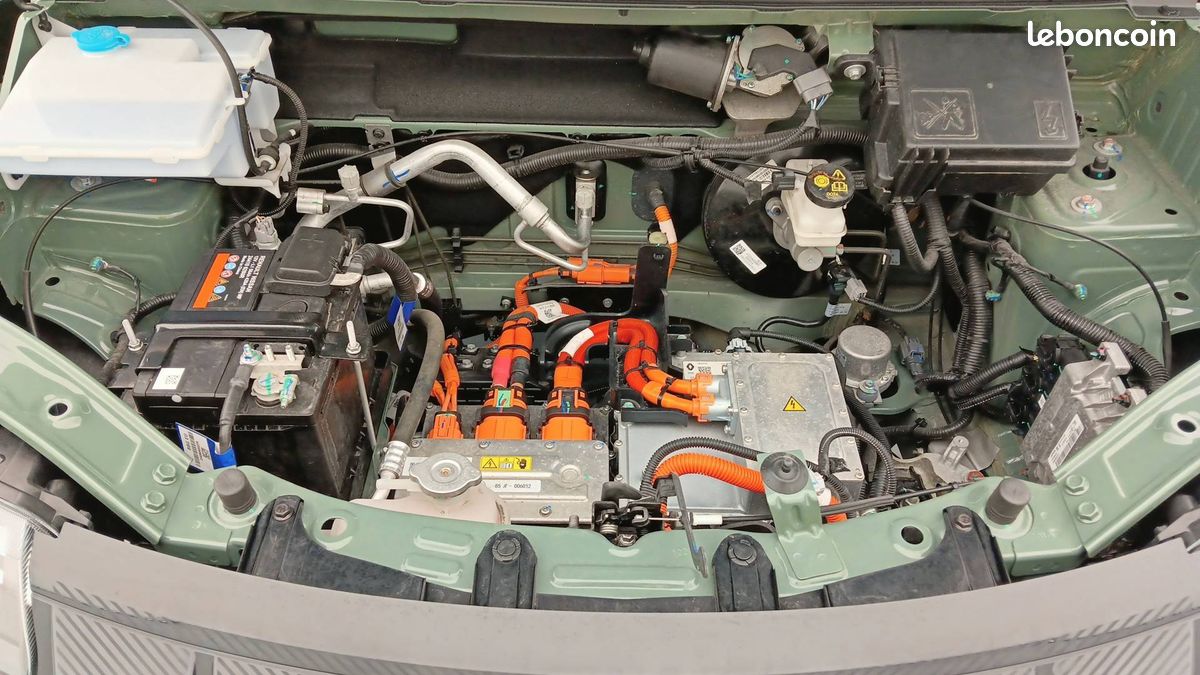 Dacia spring expression (image 21)