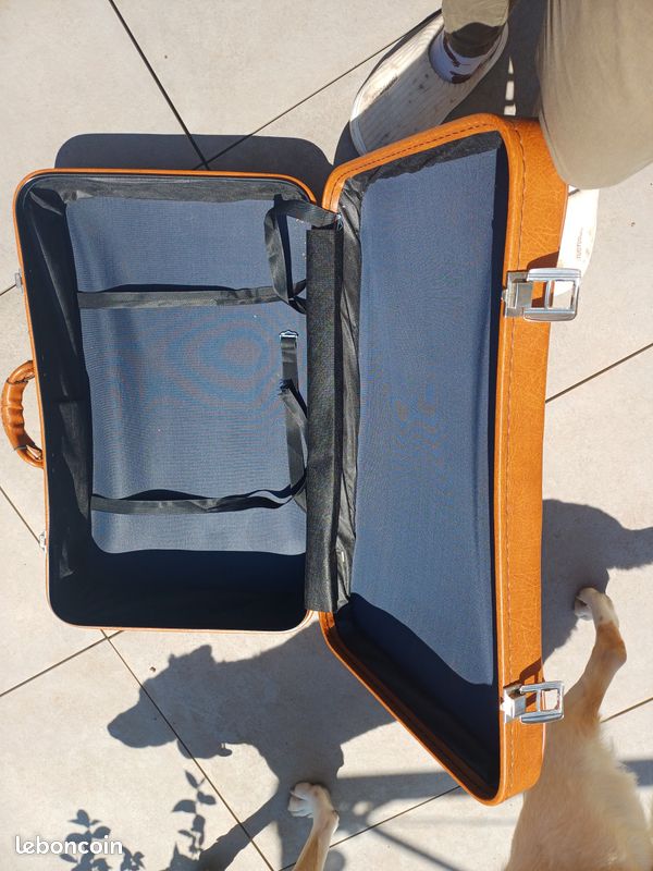 Valises vintages (image 2)