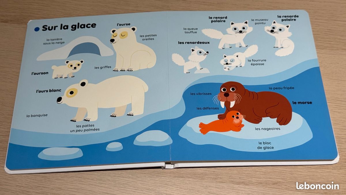 Milan - Les animaux du froid (image 6)