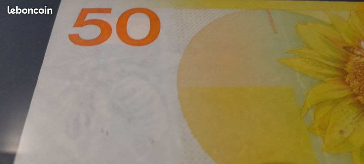 Billet de banque de 50 florins hollandais placé dans cadre bois verre (image 4)