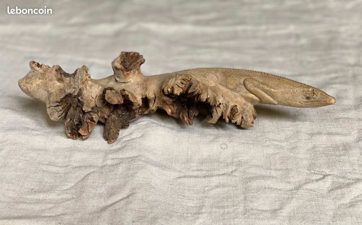 Sculpture en bois exotique représentant un varan, dragon de Komodo n°1 (image 2)