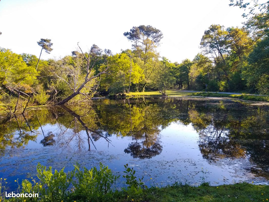 Amis agriculteurs et agricultrices je suis a la recherche d'un lac agricole lac d'irrigation étang acheter ou a loué · à Buze