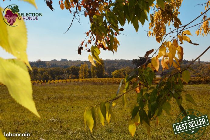 Terrain 1500 m² PELLEGRUE