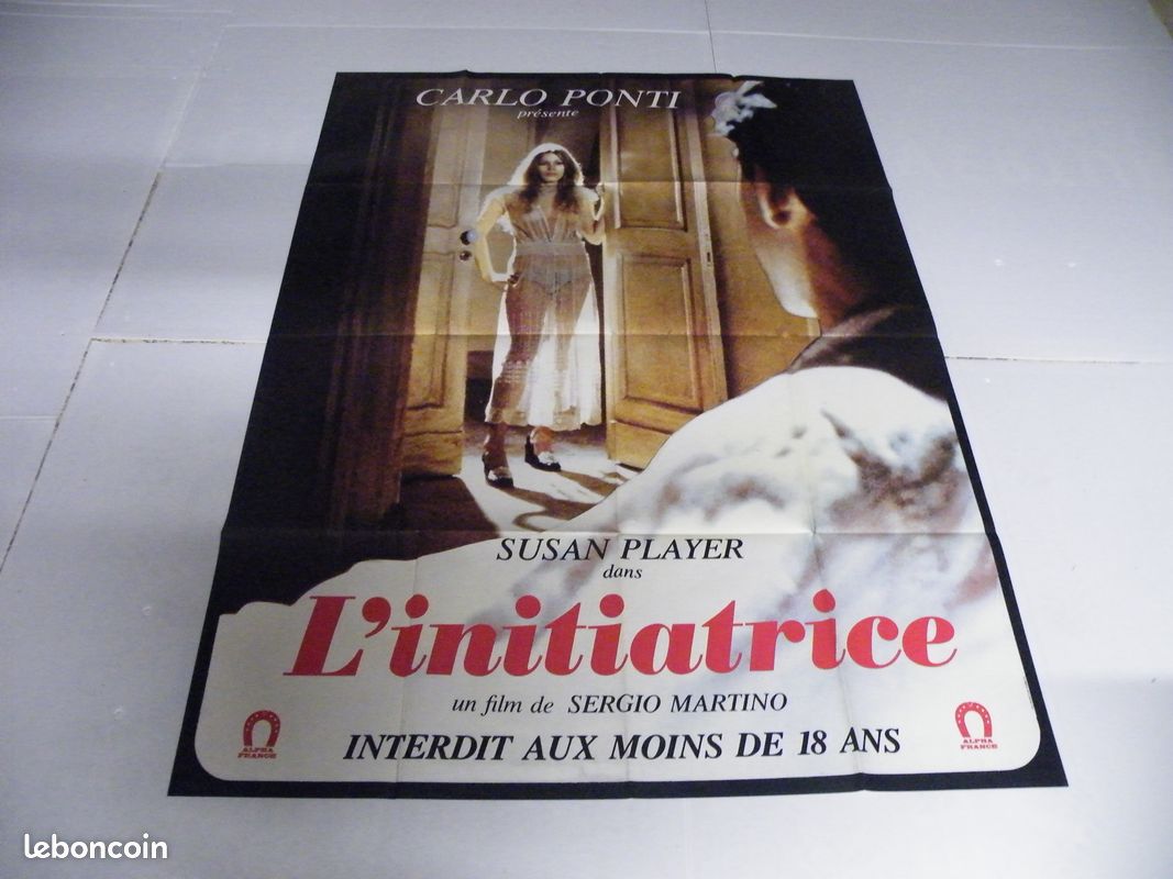 Lot 16 affiches cinema erotique 120*160cm - Collection