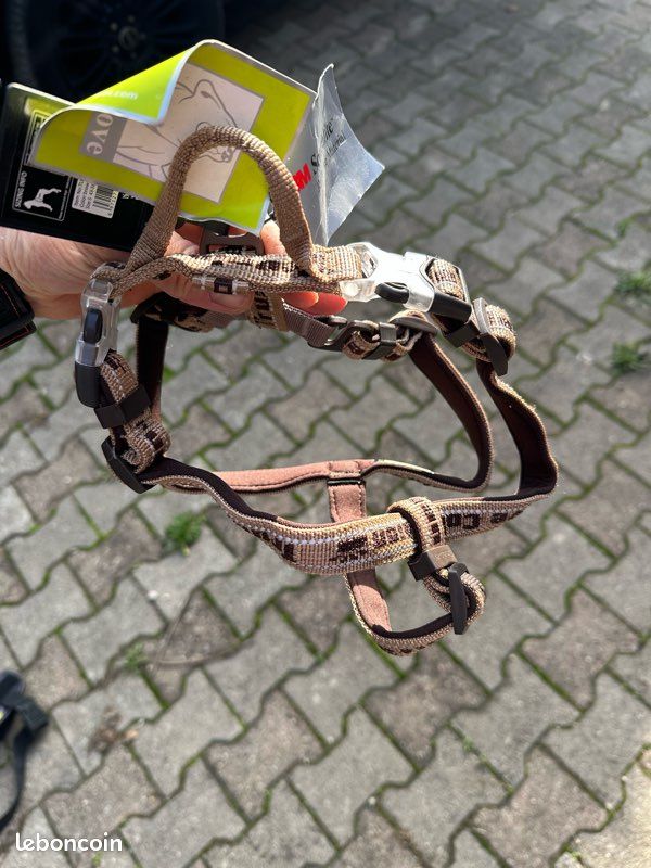 Harnais chien taille S (image 2)