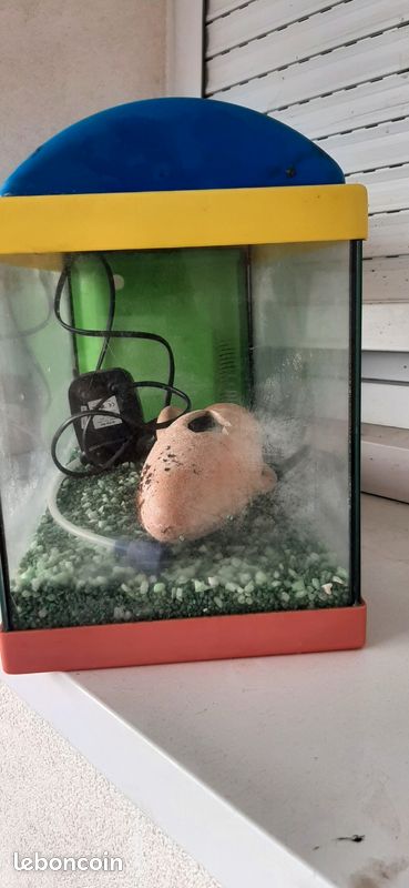 Aquarium complet (image 2)
