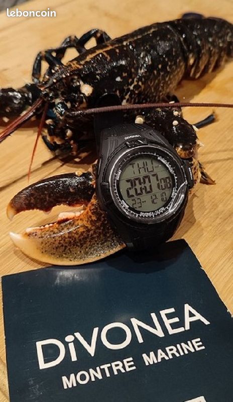 Montre De Plongée DiVONEA - Apnée Et Chasse Sous-Marine - Étanche 100m - Profondeur Et Température