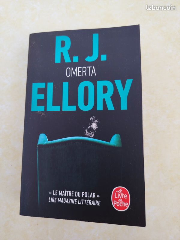 4 romans policiers de RJ ELLORY (image 6)