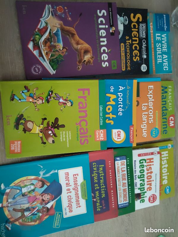Lot manuels pour enseignant cycle 3 (image 1)